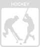 icon hockey passiv