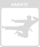 icon karate passiv