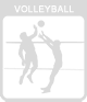 icon volleyball passiv